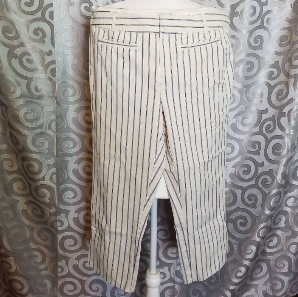 Anthropologies the essential slim pants
